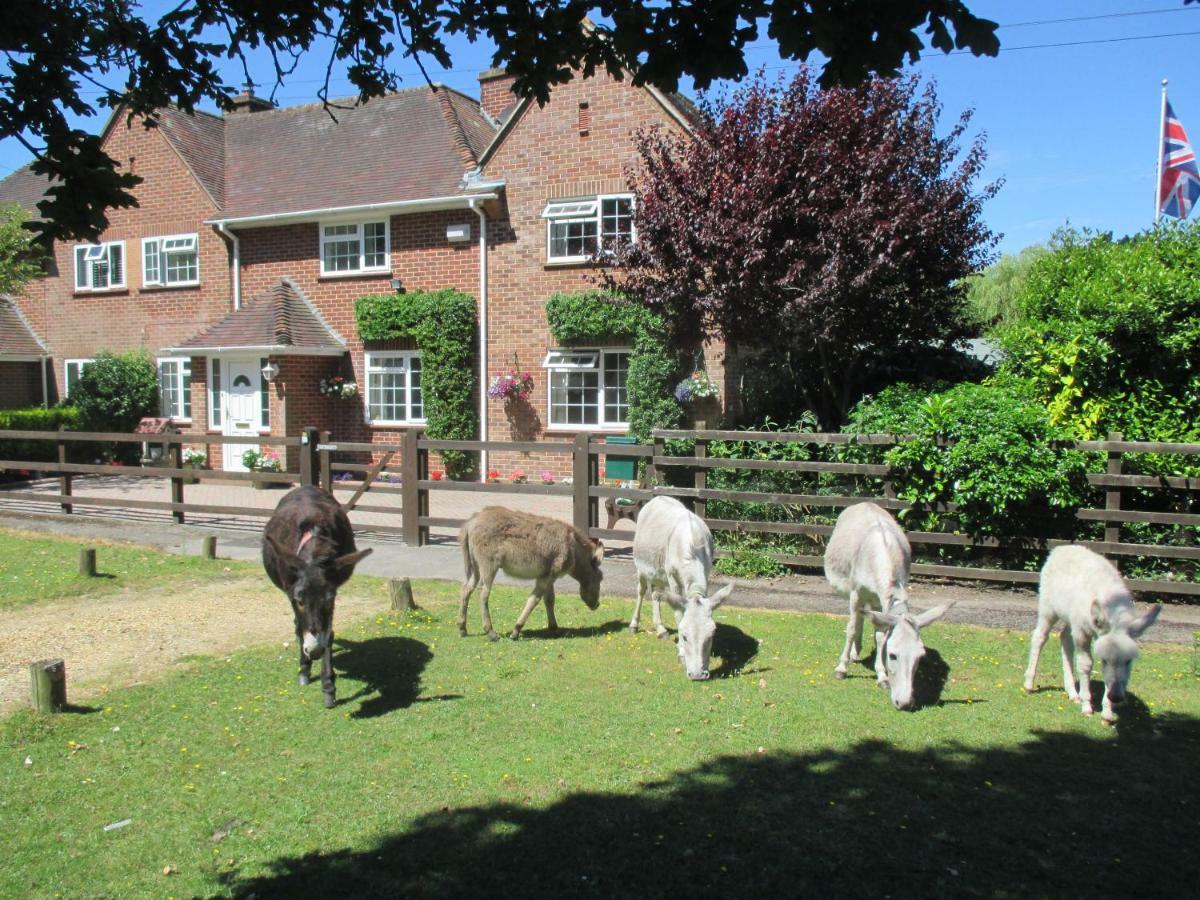Hops Annex Villa Brockenhurst Esterno foto
